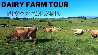 Farm Tour  My New Zealand Dairy Farm [upl. by Ahras125]