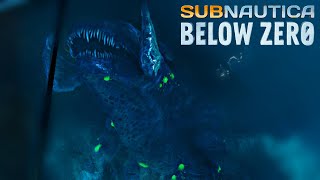 Subnautica Below Zero LEVIATAN CONGELADOICE LEVIATHAN en español TODO SOBRE ÉL LaVelociBlue [upl. by Anoyi623]