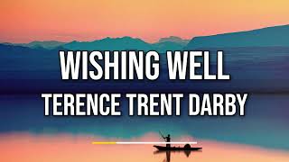 Terence Trent Darby  Wishing Well Lyrics [upl. by Marnie]