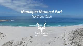 Namaqua National Park where to coast meets the greatest flower show on earth [upl. by Nert]