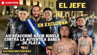 🔴NAYIB BUKELE “EL JEFE”👉AUTÉNTICA BANDA DE PLATA✅shorts new viral [upl. by Neelon231]