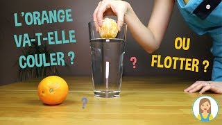 EXPÉRIENCE SCIENTIFIQUE en VUE  Lorange vatelle COULER ou FLOTTER [upl. by Atsilac]