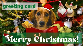 【動物クリスマスカード（犬）】クリスマスプレゼント動画Christmas carddog）animal greeting cardguitar BGM [upl. by Adila657]