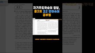 단어공부법 미친영문법 3시간 수능영어 [upl. by Novak]