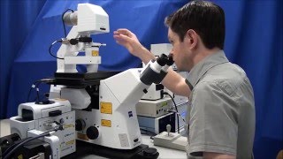 ZEISS Microscopy Howto Set up Köhler Illumination on your ZEISS Axio Observer [upl. by Oirevlis207]