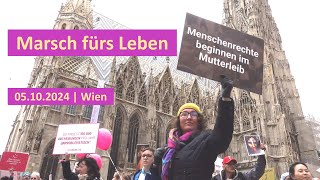 Marsch fürs Leben 2024  Reportage aus Wien von Jan Ledóchowski [upl. by Ahsienyt]