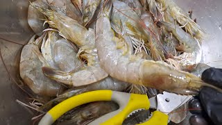 Cleaning amp Deveining Shrimp wow cuttingtutorial simpletipsAling tindera vlogs [upl. by Latnahs]