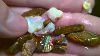 920cts pipe opalized wood fossil boulder opal rough parcel [upl. by Raveaux583]