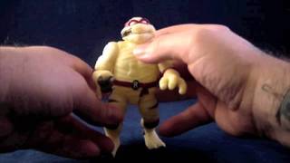 Radical Retro Turtle Toy Talk 47 Anapsid Embalmed [upl. by Livi]