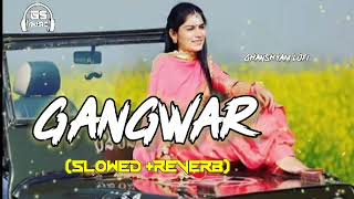 Bawli tared song gangwar sumit goswami and vikky kajla Slowed Reverb [upl. by Onaimad]