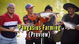 Pangasius Farming [upl. by Noir773]