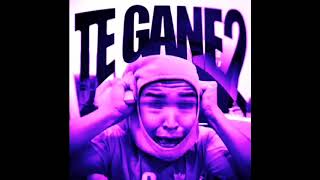 TE GANE 2 Slowed phonk LarinPHONK [upl. by Nye]