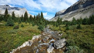 Couple and dog killed by bear at Banff National Park in Alberta [upl. by Georgetta11]