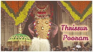 Thrissur Pooram 2019  A Divine Extravaganza of Paramekkavu and Thiruvambadi [upl. by Morley]