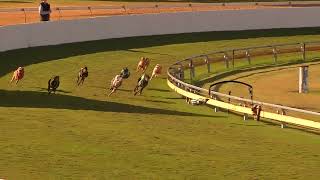 Bundaberg22072024Race11 [upl. by Anna-Maria]