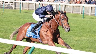 Racings new superstar City Of Troy draws comparisons with Frankel in Dewhurst romp [upl. by Alleuqram]