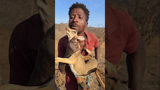 Hadza AntelopeDik Dik Huntshortsfeed hadzabe [upl. by Urbanna231]