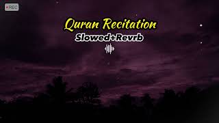 Most beautiful Quran recitation Slowed  Reverb  sheikh Abdul Rahman Mossad [upl. by Pan]