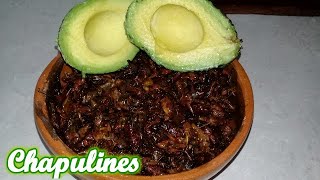 ¡CHAPULINES FRITOS ESTILO MEXICANO [upl. by Enaerb]