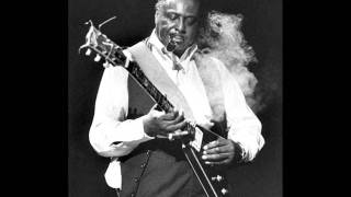 Albert King  Honky Tonk Woman [upl. by Mashe]