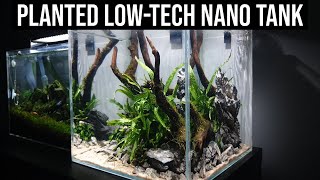 How To Planted Aquarium Tutorial Nano 30cm Cube Tank For Shrimp [upl. by Salisbury]