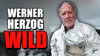 The Wildest Director Ever  Werner Herzog [upl. by Aissert231]