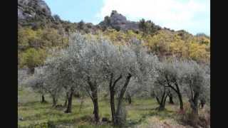 Flore en Baronnies [upl. by Meadow345]