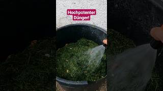 3 Möglichkeiten Rasenschnitt im Garten sinnvoll zu nutzen [upl. by Eelarak]