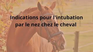 LIntubation chez le Cheval et le Poulain [upl. by Hagan]