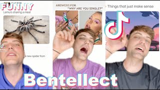 Best bentellect TikToks 2021  Funniest bentellect tiktok Compilation 2021 1 [upl. by Mandle258]