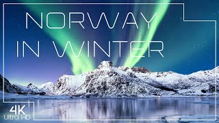 Norway in winter  Breathtaking landscapes in 4K [upl. by Idonna]