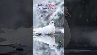 Jilibili Palukula Song Lyrics shortsviral shortsfeed song songlyrics songs telugusongs [upl. by Tsenre]