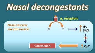 Nasal decongestant  How they act [upl. by Arries920]