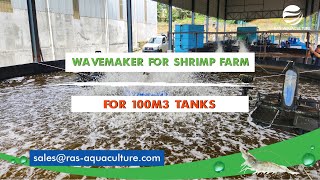 Wavemakers for 100m3 high intensity shrimp farming tanks [upl. by Lindy442]