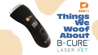 Things We Woof About BCure Laser Vet [upl. by Nyleak374]