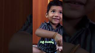 Chitti Chilakamma Song by Chinnu [upl. by Kerrison226]