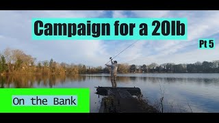 Carp Fishing Campaign for a 20lb  Pt5  New Syndicate  Hoggs pond  2021 [upl. by Ecnedac159]