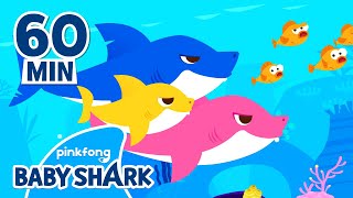 Baby Shark Doo Doo Doo 60 Min  Compilation  Baby Shark Remix  Baby Shark Official [upl. by Belle]