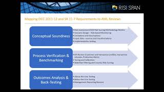 Applying Model Validation Principles to AML Tools [upl. by Noirad]