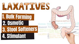 LAXATIVES What Are The Different Kinds of Laxatives When To Use Different Kinds of Laxatives [upl. by Allyn]