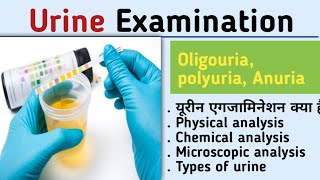 Urine examination physical chemical microscopic examination of urine urine analysisKiran maurya [upl. by Fennelly]