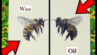 WAX vs OIL BASED COLOURED PENCILS  REVIEW [upl. by Hajidahk]