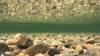 hike Shuswap Falls and Mabel Lake  Lumby BC Canada britishcolumbia views nature relaxing [upl. by Acinom771]