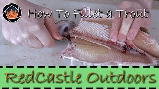 How to Fillet a Trout the Right Way [upl. by Ivanna]