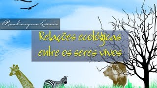 Relações Ecológicas [upl. by Houghton]