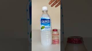 Calpico Yakult Drink probioticdrink calpisco yakult yogurtdrink asianfood drinkrecipe creamy [upl. by Ecila]