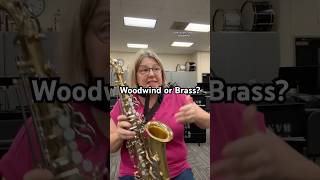 Should it be called a woodwind 🤔 banddirector band woodwind flute brass clarinet trumpet [upl. by Yekciv]