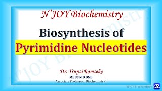 Pyrimidine Biosynthesis  Nucleotide Metabolism  Biochemistry  NJOY Biochemistry [upl. by Finbar]