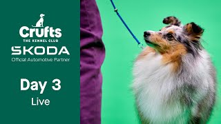 Day 3 LIVE  Crufts 2023 [upl. by Earehs]