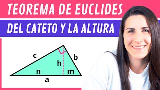 TEOREMA de EUCLIDES 📐 del CATETO y la ALTURA [upl. by Eleonore208]